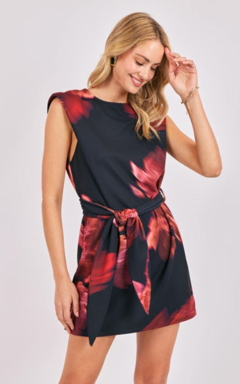 Sadie & Sage Opulent Shadows Mini Dress