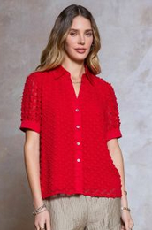 Current Air Textured Button Down Blouse