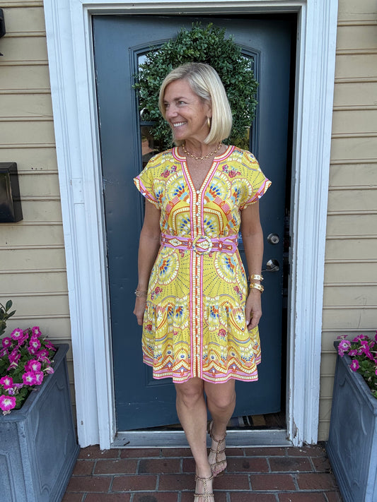 Hale Bob Belted V Neck Dress