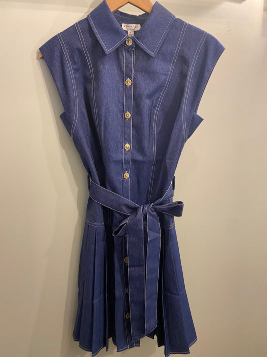 Current Air Button Down S/Slv Pleated Skirt Mini Dress