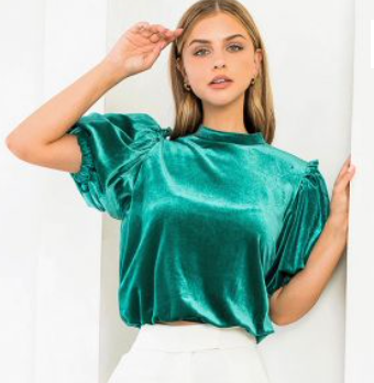 THML Velvet Puff Sleeve Top