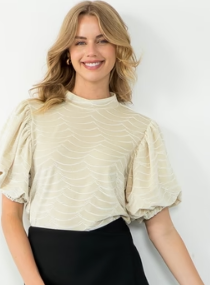 THML Velvet Puff Sleeve Top
