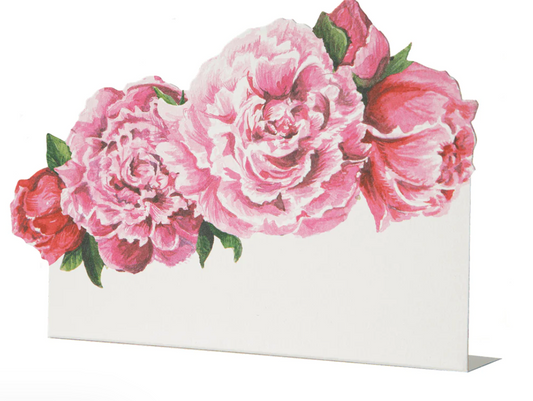 Hester & Cook Place Cards