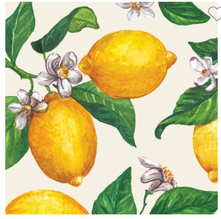 Hester & Cook Cocktail Napkins