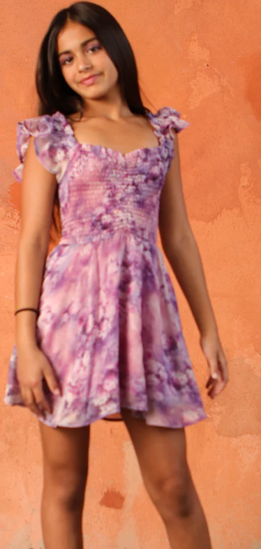 Miss Behave Girls Paige Smocked Ruffle Dress