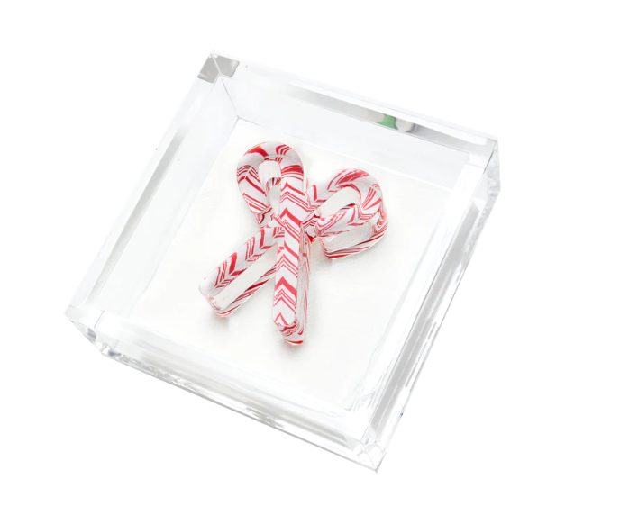 Tara Wilson Designs Lucite Cocktail Napkin Holder