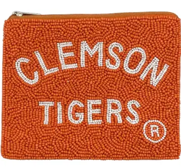 Pizzazz Beaded Pouch