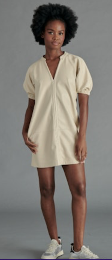 Steve Madden Roxanne Mini Dress