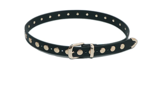 Accessory Concierge Fully Studded Belt