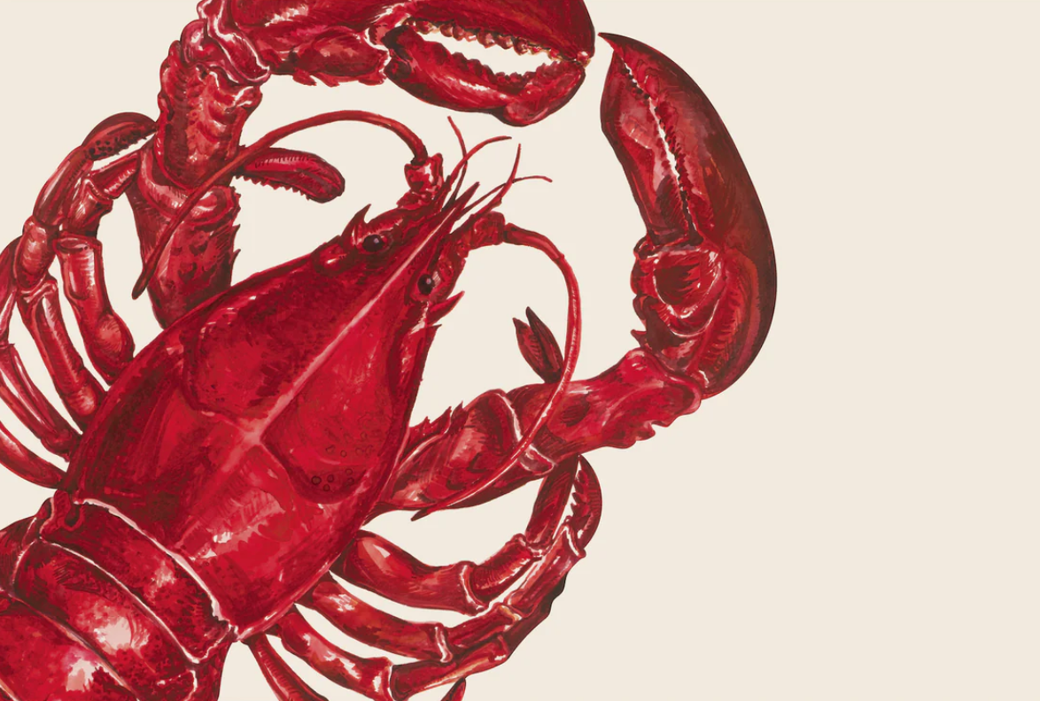 Hester & Cook Placemats