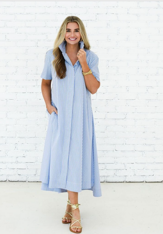 Caryn Lawn Millie Collared Midi Dress