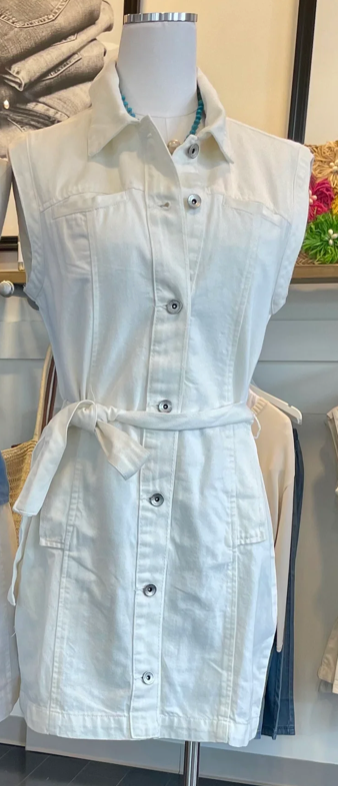 Sanctuary Ila Denim Dress