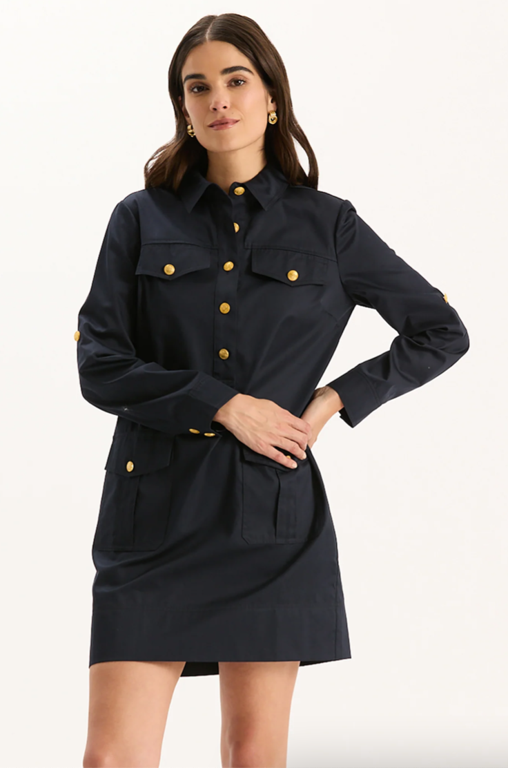 Tyler Boe Rory Shirtdress