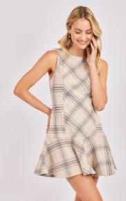 Sadie & Sage Cedar Plaid Drop Waist Mini Dress