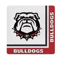 Bulk Party Decor Collegiate Lunch Napkins Set/20