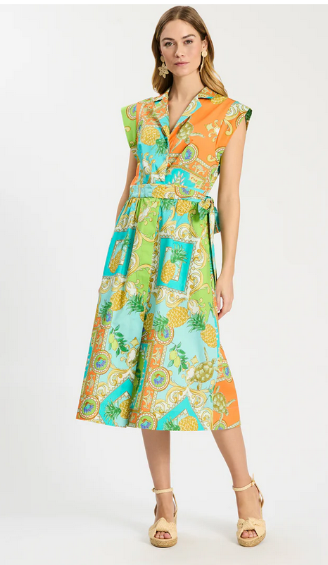 Tyler Boe Paige Shirtdress