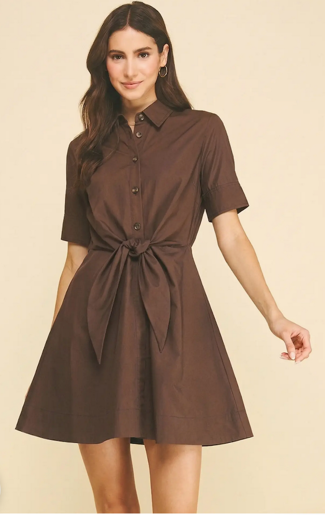 Pinch Tie Front Mini Dress