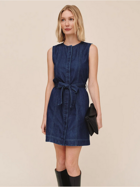 Bella Dahl Sleeveless Seamed Shirt Dress