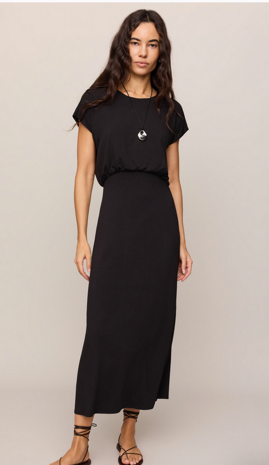Z Supply Anika Midi Dress