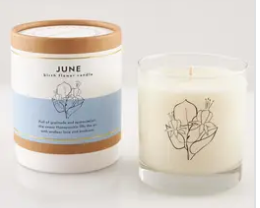 Scripted Fragrance Candle