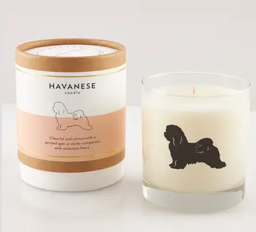 Scripted Fragrance Candle