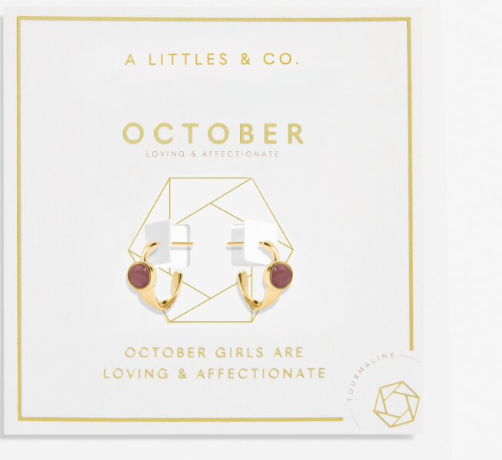 A Littles Birthstone Hoop Earrings
