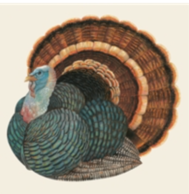 Hester & Cook Cocktail Napkins