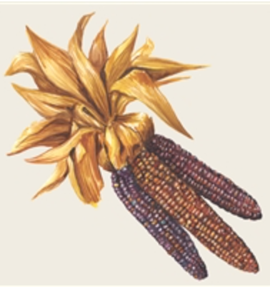 Hester & Cook Cocktail Napkins