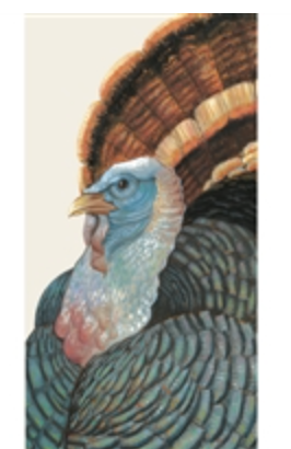 Hester & Cook Guest Napkins