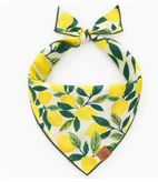 The Foggy Dog Bandana
