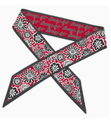 Desden Collegiate Skinny Scarf