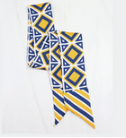 Caroline Barrett Skinny Scarf