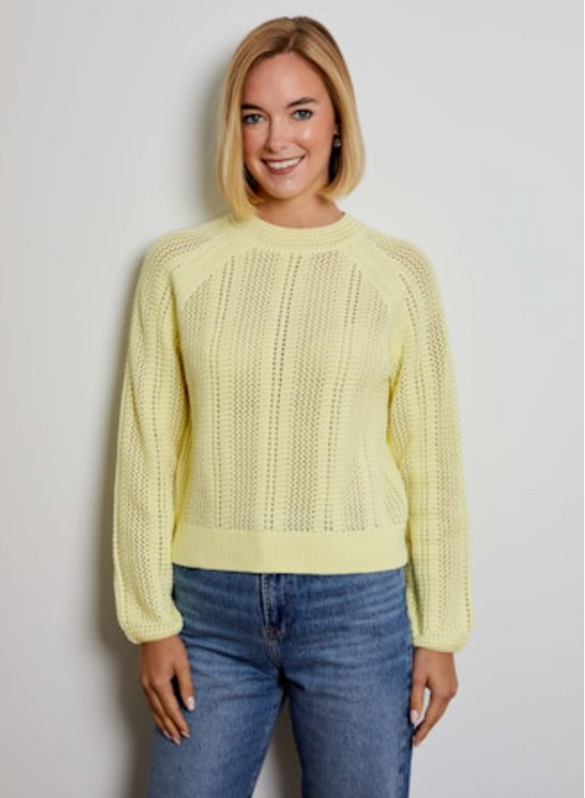 Design History LS Raglan Sweater