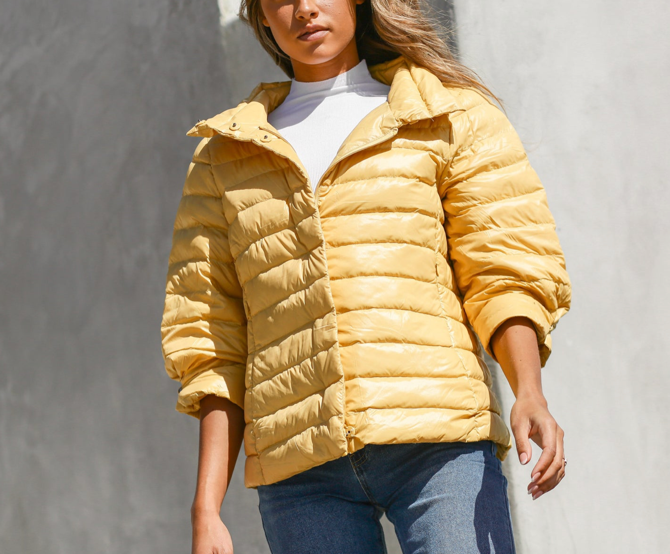 Anorak Crop Sleeve Puffer Jacket